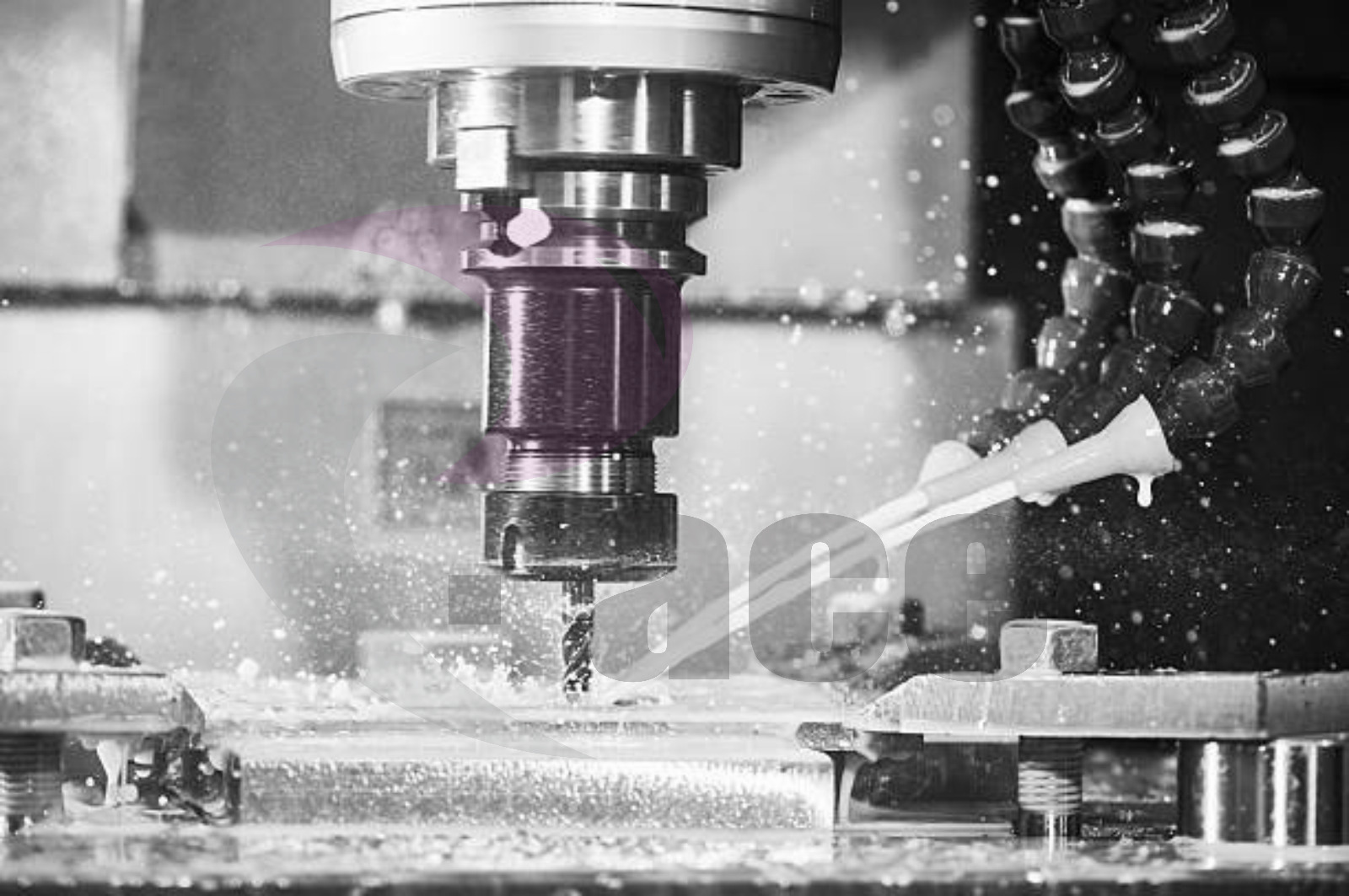 whatsapp image 2025 11 10 at 3.36.04 pm